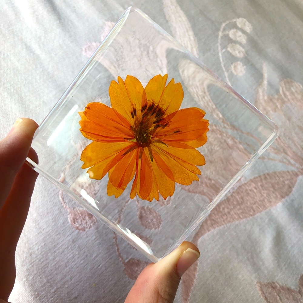 Aster Flower Resin Coaster